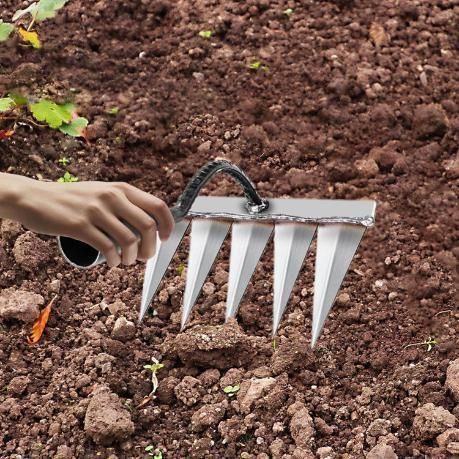 5 Teeth Carbon Steel Garden Weeding 1